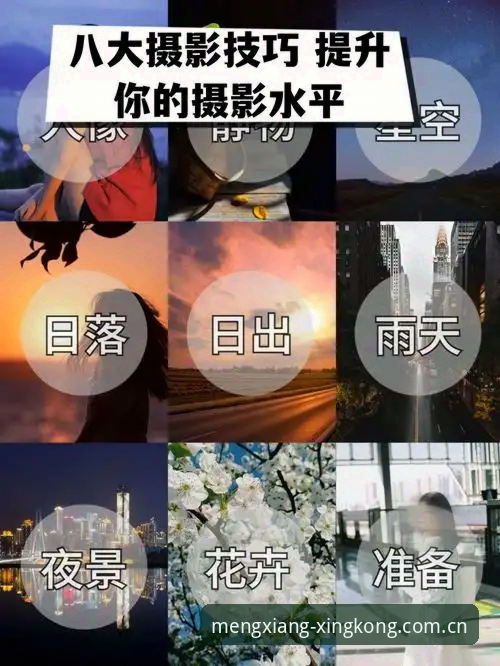 星空平台官网登录通道对比指南：如何选对你的入口